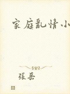 家庭乱情小说封面