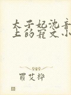 太子妃沈音和皇上的宠文小说