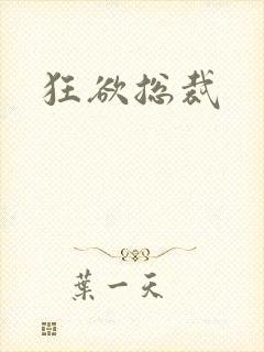 狂欲总裁封面