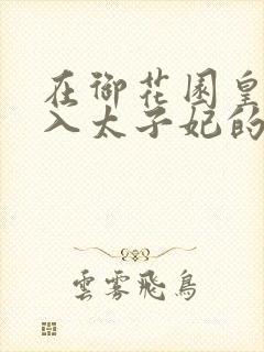 在御花园皇上进入太子妃的小说