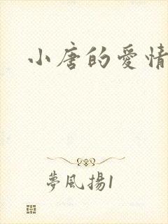 小唐的爱情史