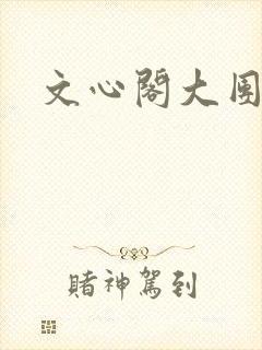 文心阁大团结封面