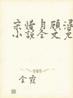 宋惜月顾浔渊的小说全文免费阅读封面