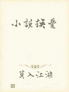小说换爱