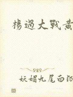 杨过大战黄蓉