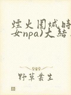 烟火围城时(父女npa)大结局