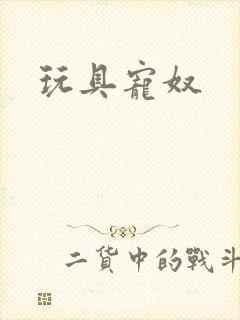 玩具宠奴