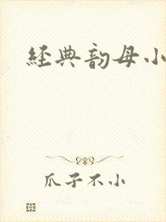 经典韵母小说