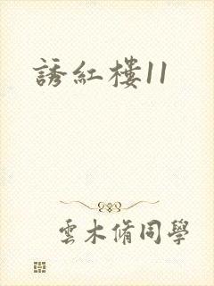 诱红楼11