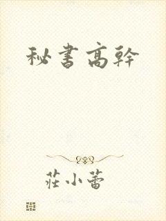 秘书高干