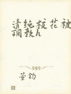 清纯校花被地狱调教h封面