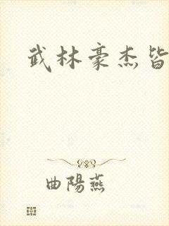 武林豪杰皆我奴封面