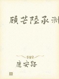 顾芒陆承洲
