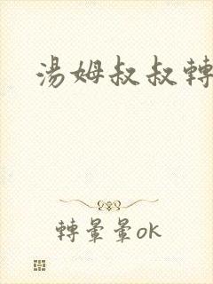 汤姆叔叔转接口