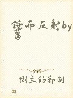 镜面反射by九葛封面