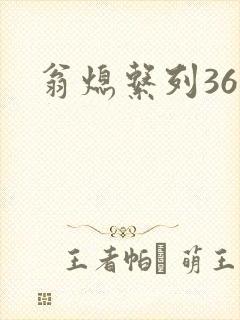 翁熄系列36章封面
