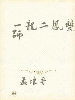 一龙二凤双飞老师