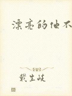 漂亮的他不说话