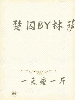 楚囚BY林萨