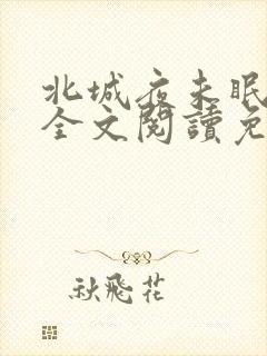 北城夜未眠小说全文阅读免费封面