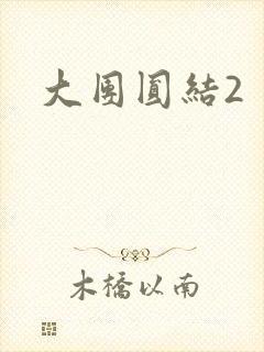 大团圆结2