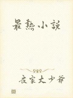 最热小说