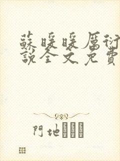苏暖暖厉衍琛小说全文免费阅读