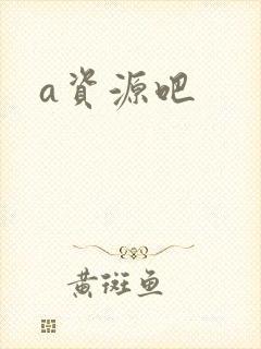a资源吧