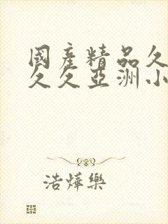 国产精品久久久久久亚洲小说