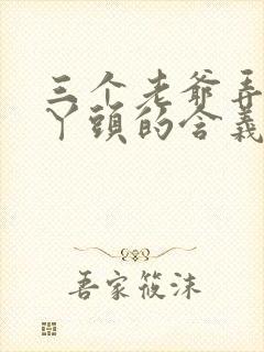 三个老爷弄一个丫头的含义封面