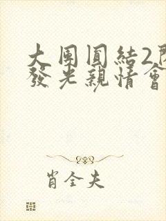 大团圆结2闪闪发光亲情会