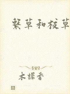 系草和校草