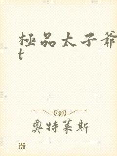 极品太子爷txt