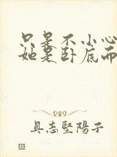 只是不小心发现她是卧底而已