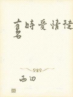 有时爱情徒有虚名封面