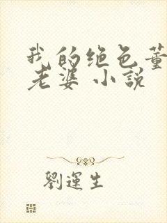 我的绝色董事长老婆 小说封面