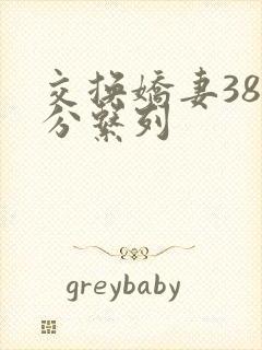 交换娇妻38部分系列