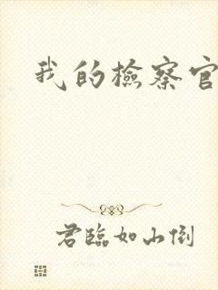 我的检察官先生