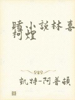 赌小说林喜朝和柯煜封面