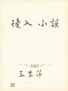 后入 小说封面