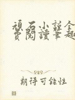 顽石小说全文免费阅读笔趣阁