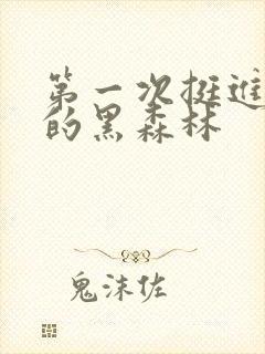 第一次挺进麻麻的黑森林封面