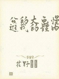 公的大龟慢慢挺进我的体内视频