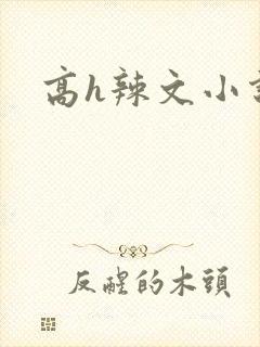高h辣文小说