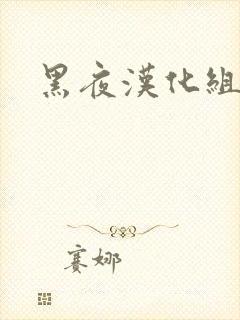 黑夜汉化组