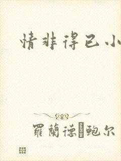 情非得已小说封面