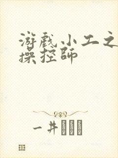 游戏小工之元素操控师封面