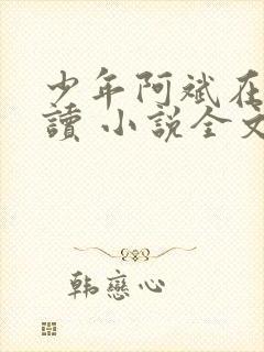 少年阿斌在线阅读 小说全文免费