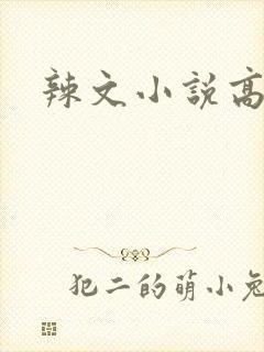 辣文小说高h封面