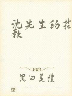 沈先生的花式管教封面